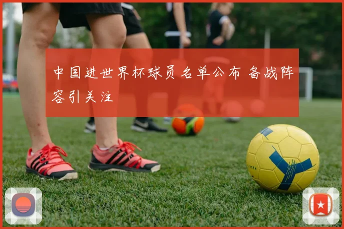 中国进世界杯球员名单公布 备战阵容引关注