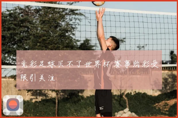 竞彩足球买不了世界杯 赛事购彩受限引关注