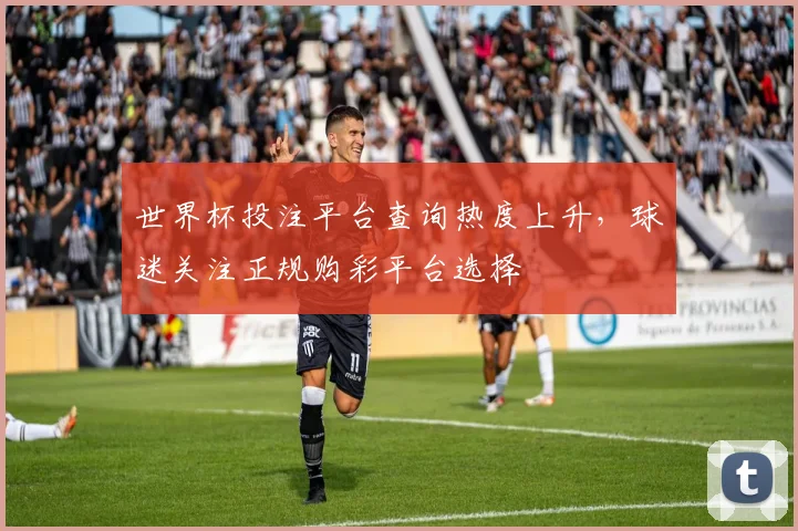 世界杯投注平台查询热度上升，球迷关注正规购彩平台选择