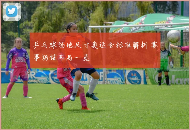 乒乓球场地尺寸奥运会标准解析 赛事场馆布局一览