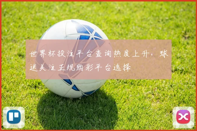 世界杯投注平台查询热度上升，球迷关注正规购彩平台选择