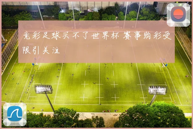 竞彩足球买不了世界杯 赛事购彩受限引关注
