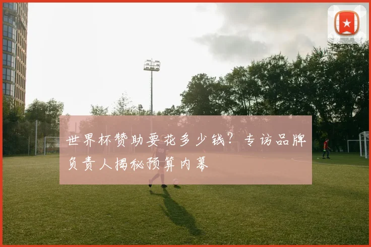 世界杯赞助要花多少钱?专访品牌负责人揭秘预算内幕