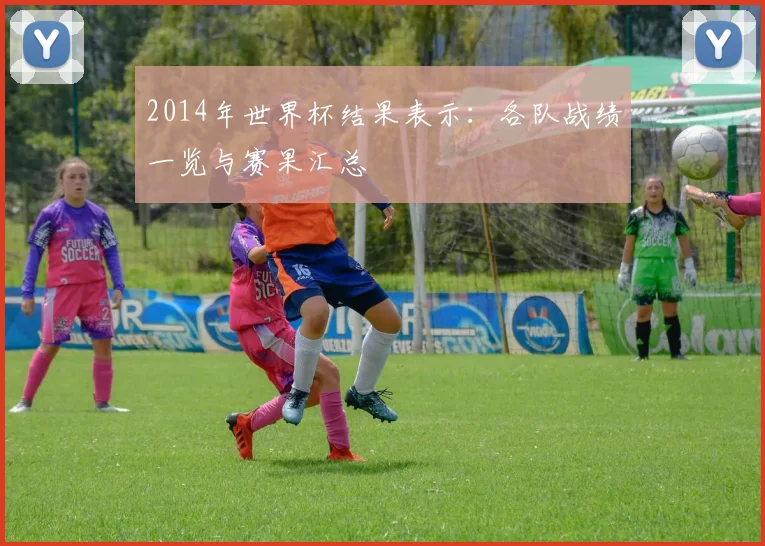 2014年世界杯结果表示:各队战绩一览与赛果汇总