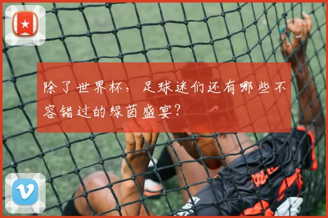 除了世界杯,足球迷们还有哪些不容错过的绿茵盛宴?