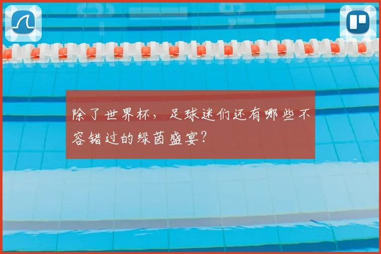 除了世界杯,足球迷们还有哪些不容错过的绿茵盛宴?